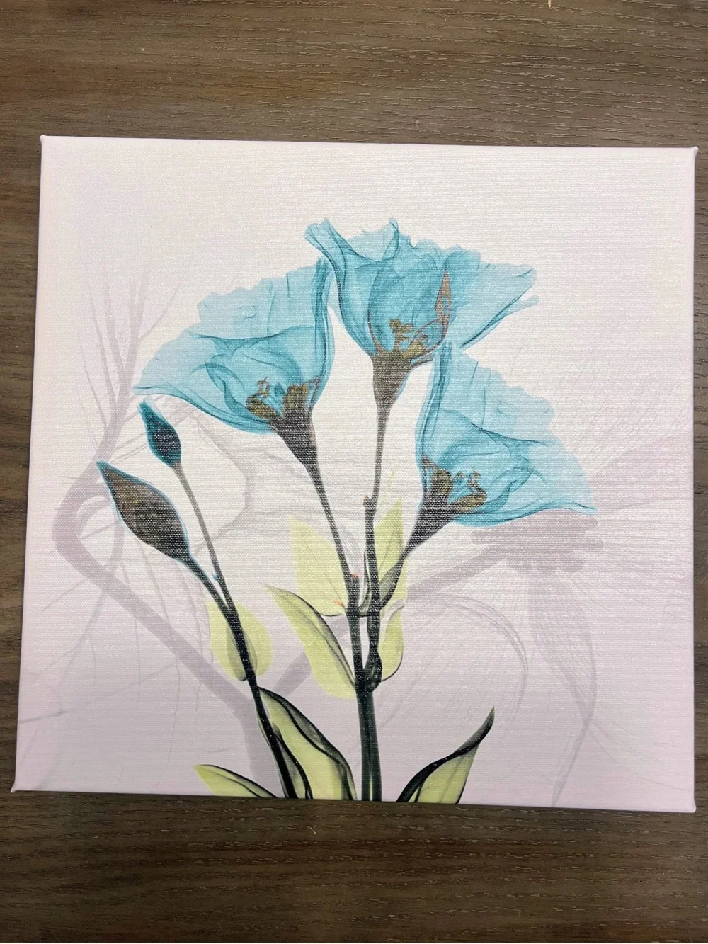 Hand-Painted Tulip Canvas Wall Art - Set of 4